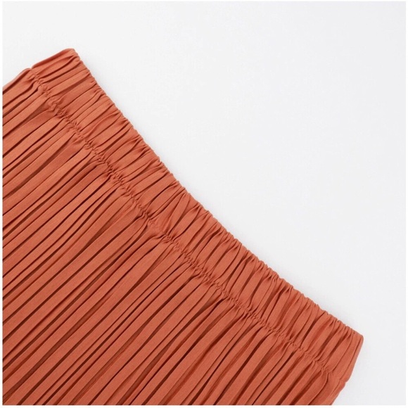 Elegant Tan Pleated Skirt - Picture 4 of 8